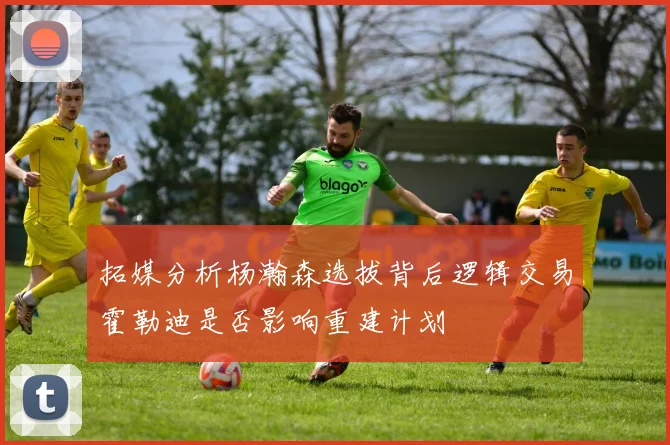 拓媒分析杨瀚森选拔背后逻辑交易霍勒迪是否影响重建计划