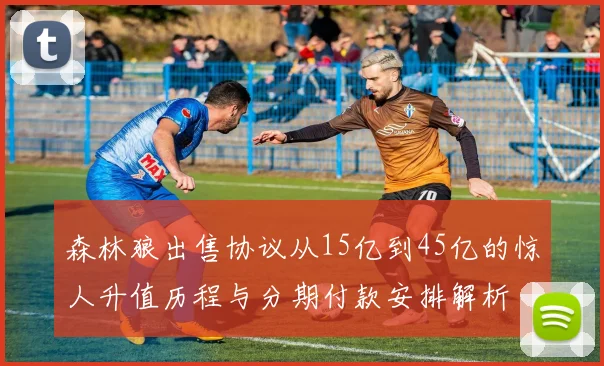 森林狼出售协议从15亿到45亿的惊人升值历程与分期付款安排解析